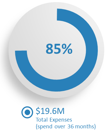 FCEF Total Expenses